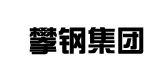 南鋼合作客戶-攀鋼